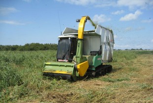 Softrak harvester